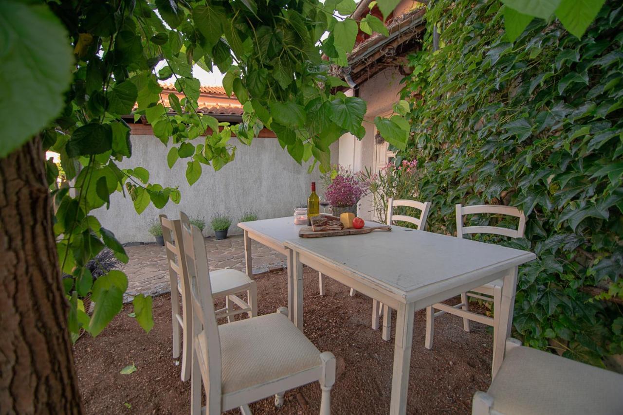Apartment Ana - Karst Cycling Paradise Dutovlje Extérieur photo