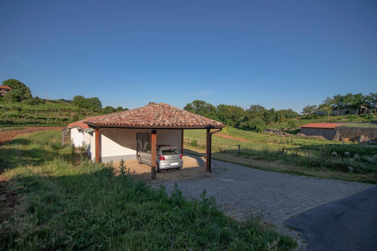 Apartment Ana - Karst Cycling Paradise Dutovlje Extérieur photo