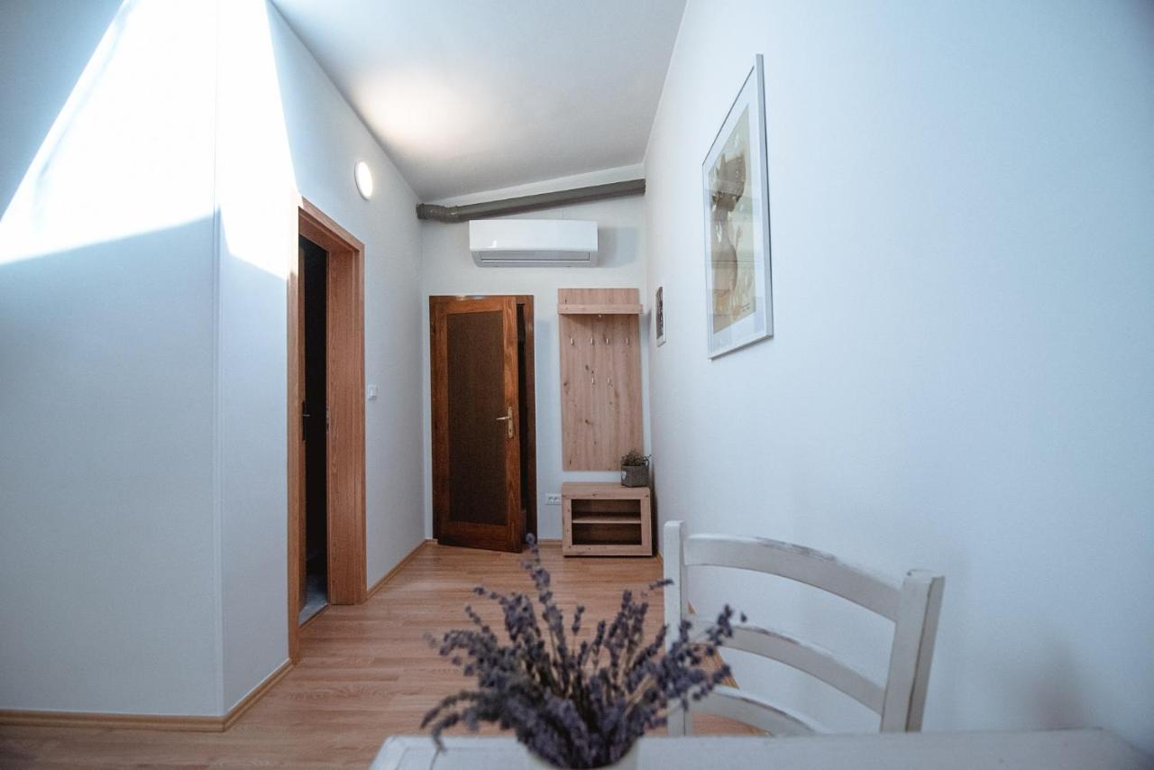 Apartment Ana - Karst Cycling Paradise Dutovlje Extérieur photo
