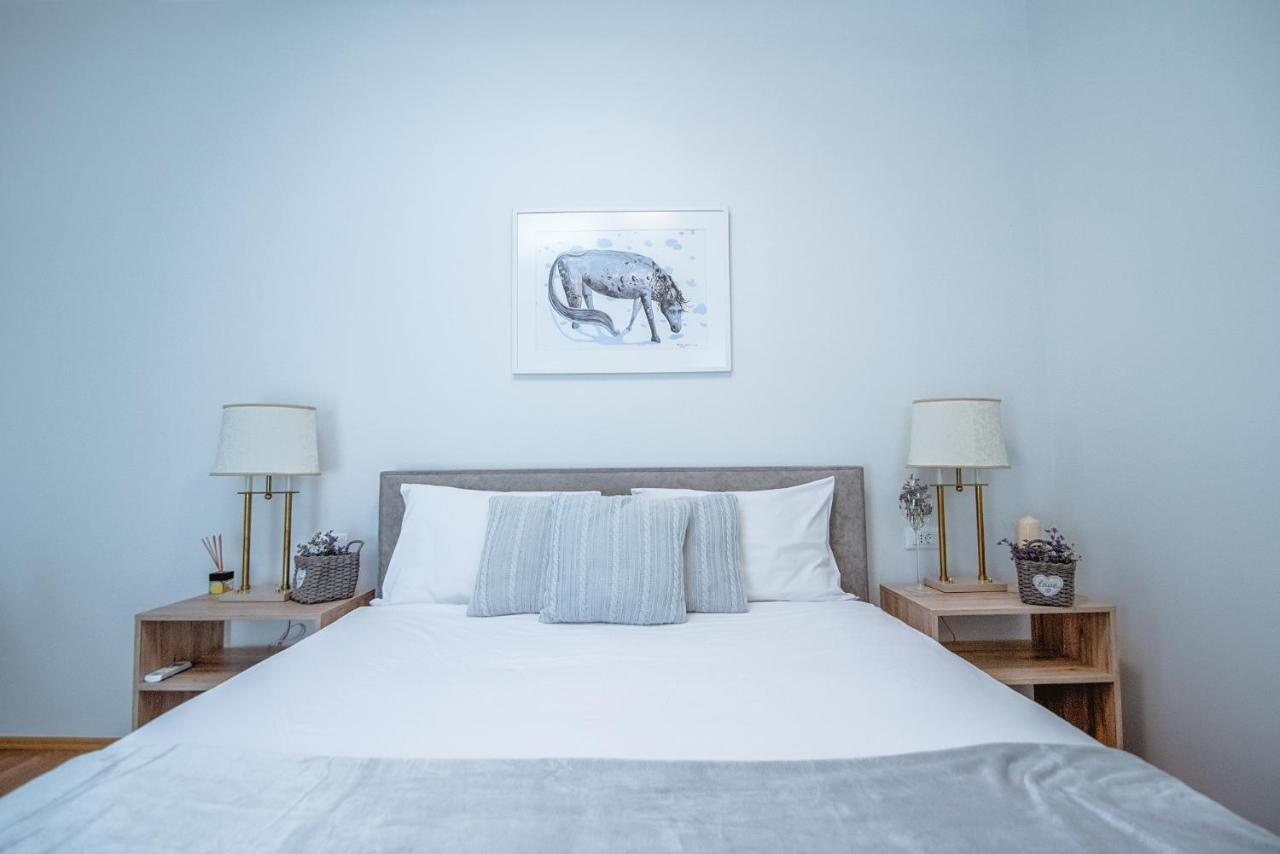 Apartment Ana - Karst Cycling Paradise Dutovlje Extérieur photo